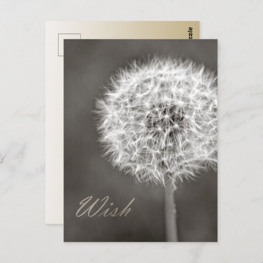 Dandelion Wish Briefkaart (Voorkant / Achterkant)