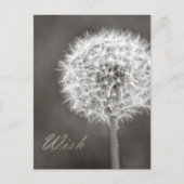 Dandelion Wish Briefkaart (Voorkant)