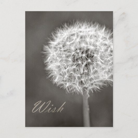 Dandelion Wish Briefkaart (Voorkant)