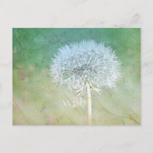 Dandelion Wish Dreamweaver Design Briefkaart