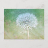 Dandelion Wish Dreamweaver Design Briefkaart (Voorkant)