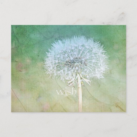 Dandelion Wish Dreamweaver Design Briefkaart (Voorkant)