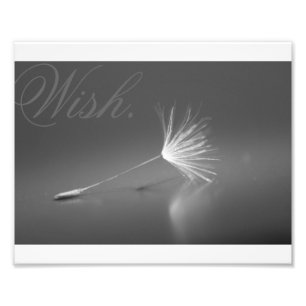 Dandelion Wish Photo Foto Afdruk