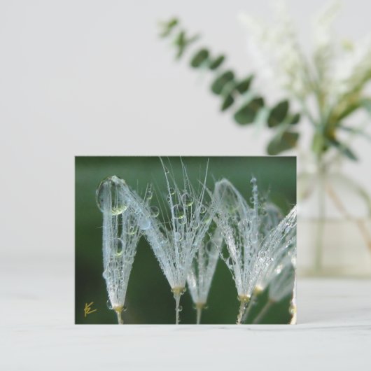Dandelion With Dew Drops Playful Nature Briefkaart (Staand voorkant)