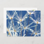Dandelion With Dew Joyful Nature Briefkaart (Voorkant / Achterkant)