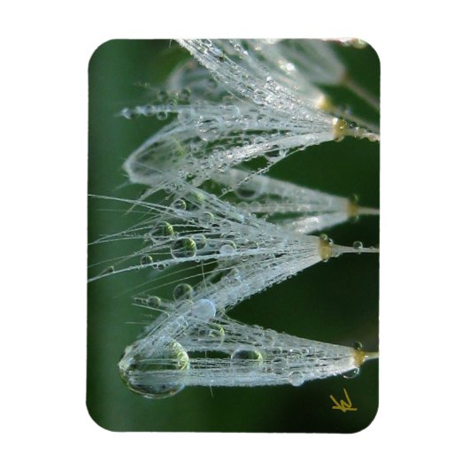 Dandelion with Dew Peaceful Nature Meditation Magneet (Verticaal)