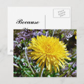 Dandelionbloem in gras briefkaart (Voorkant / Achterkant)