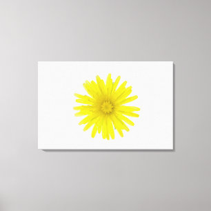 Dandelionbloem (Taraxacum officinale), een composi Canvas Afdruk