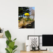 Dandelionen in de zon poster (Thuiskantoor)