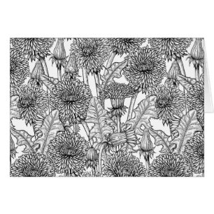 Dandelionen, zwart-wit