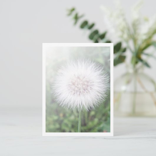 Dandelioness Seedlings Briefkaart (Staand voorkant)