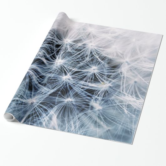 Dandelions 4 Verpakkingspapier Cadeaupapier (Uitgerold)