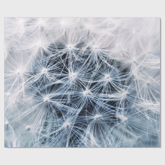 Dandelions 4 Verpakkingspapier Cadeaupapier (Vlak)