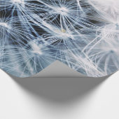 Dandelions 4 Verpakkingspapier Cadeaupapier (Hoek)