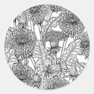 Dandelions, black and white ronde sticker