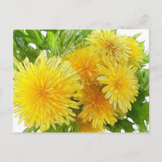 Dandelions! Briefkaart (Voorkant)