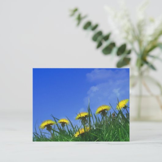 Dandelions Briefkaart (Staand voorkant)