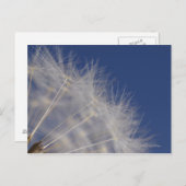 Dandelions Briefkaart (Voorkant / Achterkant)