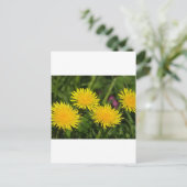 Dandelions Briefkaart (Staand voorkant)