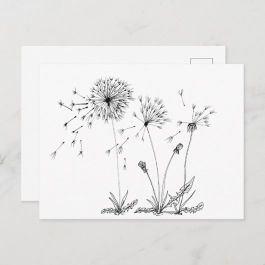 Dandelions Briefkaart (Voorkant / Achterkant)