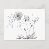 Dandelions Briefkaart (Voorkant)