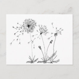 Dandelions Briefkaart