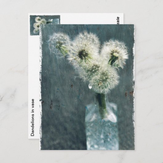 Dandelions Briefkaart (Voorkant / Achterkant)