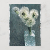 Dandelions Briefkaart (Voorkant)