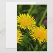 Dandelions Briefpapier (Voorkant / Achterkant)