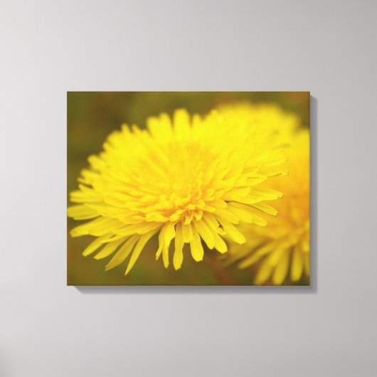 Dandelions droom. gele wilde bloem canvas afdruk (Voorkant)