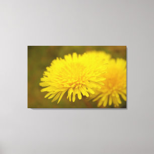 Dandelions droom.  gele wilde bloem canvas afdruk