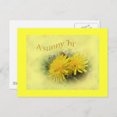 Dandelions - Een zonnige Hi Briefkaart (Voorkant / Achterkant)