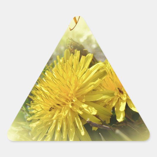 Dandelions - Een zonnige Hi Sticker (Voorkant)