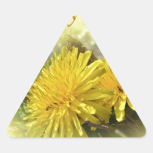 Dandelions - Een zonnige Hi Sticker