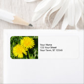 Dandelions Etiket (Insitu)