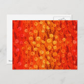 Dandelions Field Summer Flowers Red Sinaasappel Om Briefkaart (Voorkant / Achterkant)