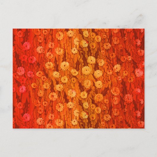 Dandelions Field Summer Flowers Red Sinaasappel Om Briefkaart (Voorkant)