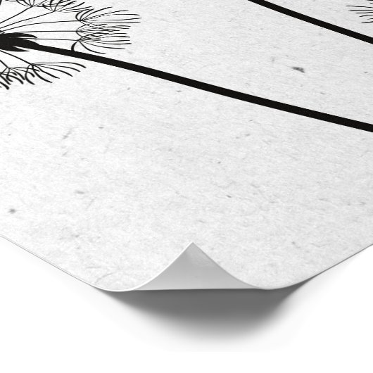 Dandelions Flowers Pappus Spores Gray Poster (Hoek)