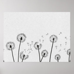 Dandelions Flowers Pappus Spores Gray Poster