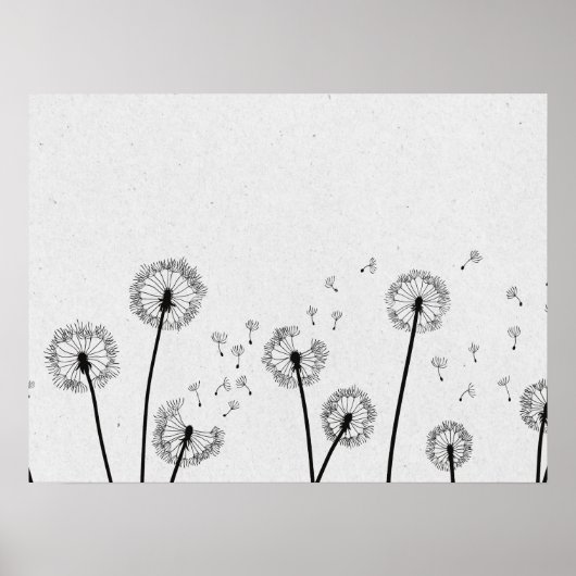 Dandelions Flowers Pappus Spores Gray Poster (Voorkant)