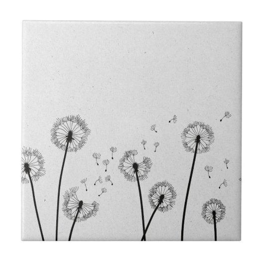 Dandelions Flowers Pappus Spores Gray Tegeltje (Voorkant)