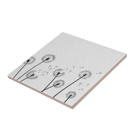 Dandelions Flowers Pappus Spores Gray Tegeltje (Zijkant)