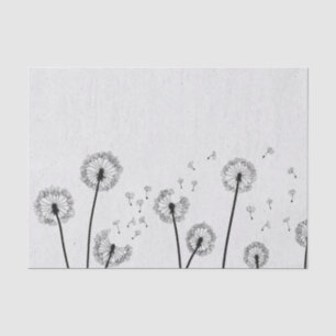 Dandelions Flowers Pappus Spores Gray Tissuepapier