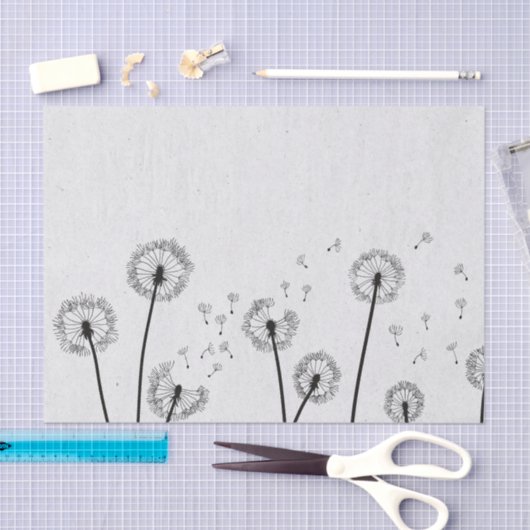 Dandelions Flowers Pappus Spores Gray Tissuepapier (Craft)