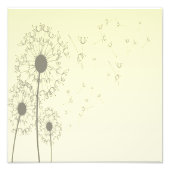 Dandelions Foto Afdruk (Voorkant)