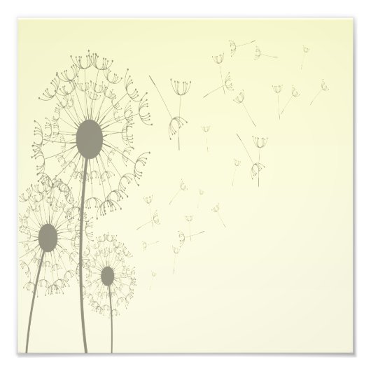 Dandelions Foto Afdruk (Voorkant)