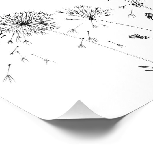 Dandelions Foto Afdruk (Hoek)