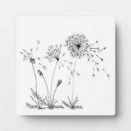 Dandelions Fotoplaat