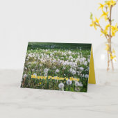 Dandelions Happy Vaderdag Humor Kaart (Gele Bloem)