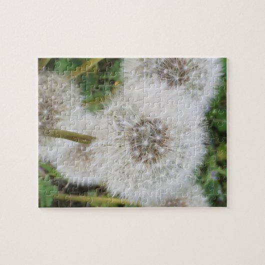 Dandelions Legpuzzel (Horizontaal)